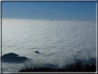 foto Pedemontana Veneta nella nebbia